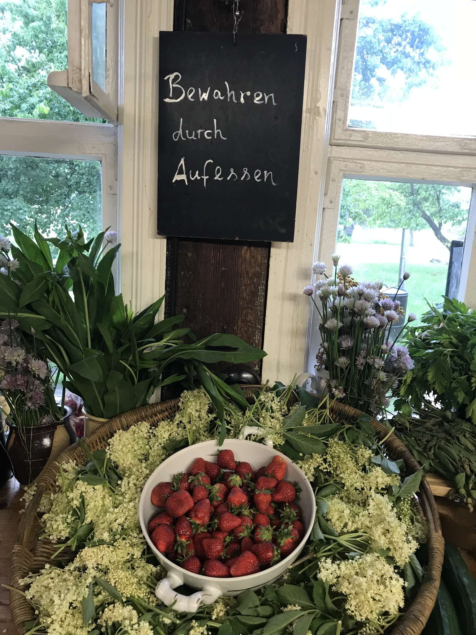 Holunderblütentee im Spreewald